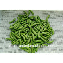 Cultivation IQF frozen vegetable sweet pea